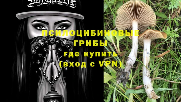 ECSTASY Корсаков