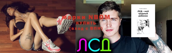 ГАЛЛЮЦИНОГЕННЫЕ ГРИБЫ Коряжма