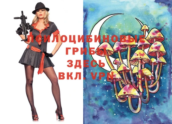 ГАЛЛЮЦИНОГЕННЫЕ ГРИБЫ Коряжма