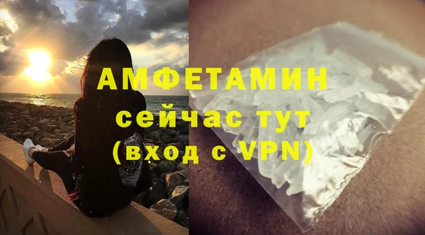 ГАЛЛЮЦИНОГЕННЫЕ ГРИБЫ Коряжма