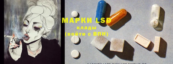 ГАЛЛЮЦИНОГЕННЫЕ ГРИБЫ Коряжма